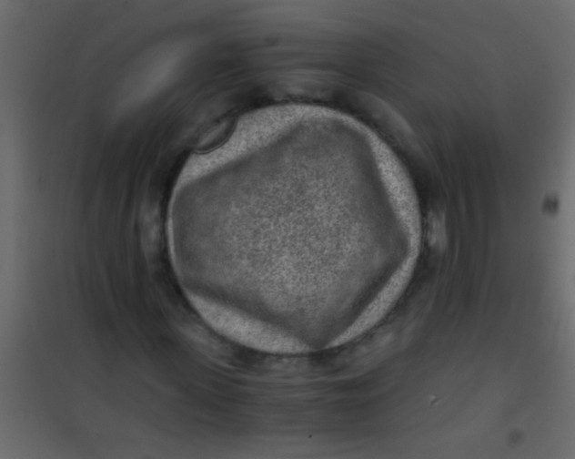 X0000101110915200807171933