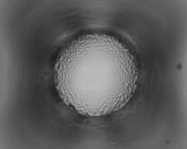 X0000101110917200807171933