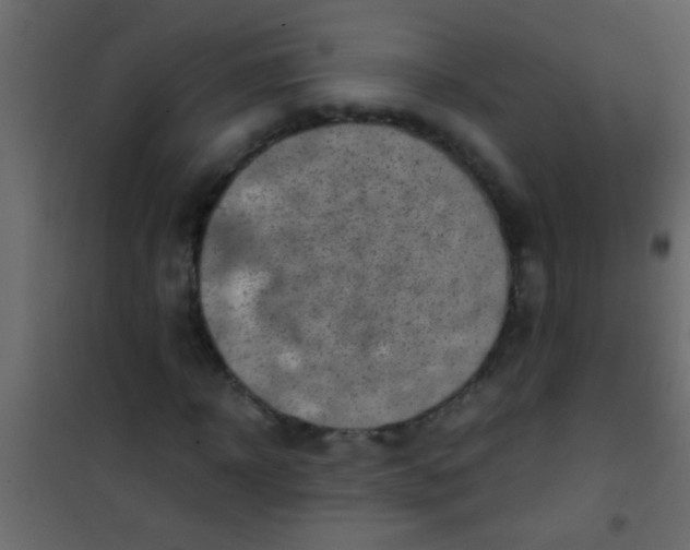 X0000101110918200807171933