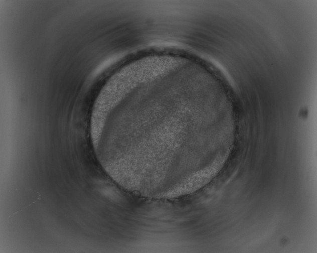 X0000101110919200807171933