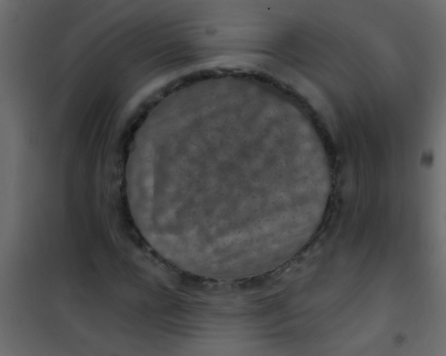 X0000101110920200807171933