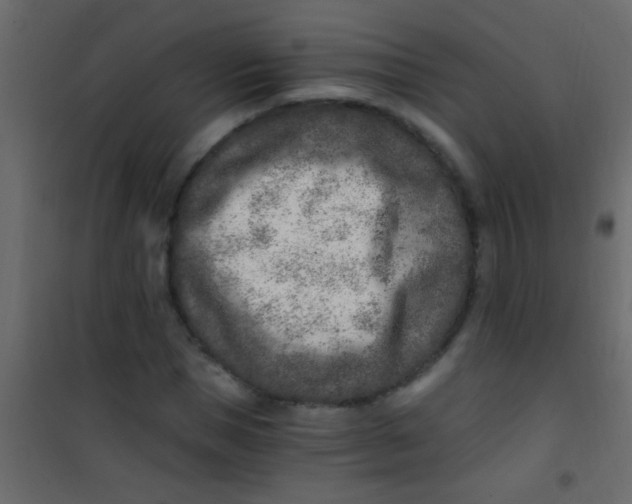 X0000101110921200807171933