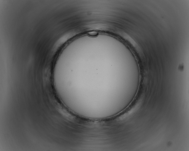 X0000101110922200807171933