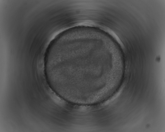X0000101110923200807171933