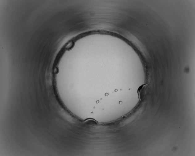 X0000101110924200807171933