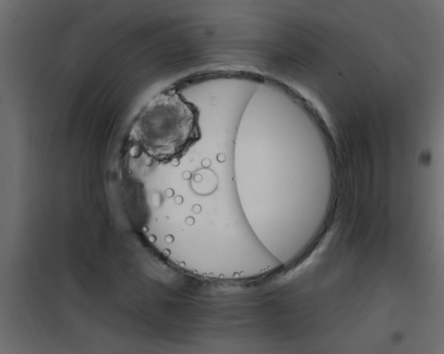 X0000101110925200807171933