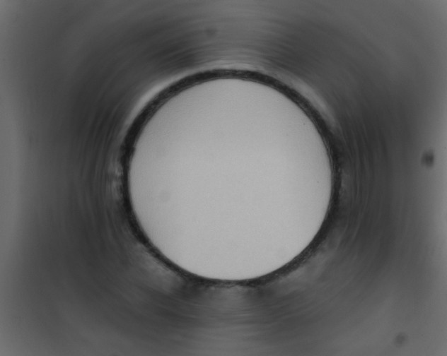 X0000101110926200807171933