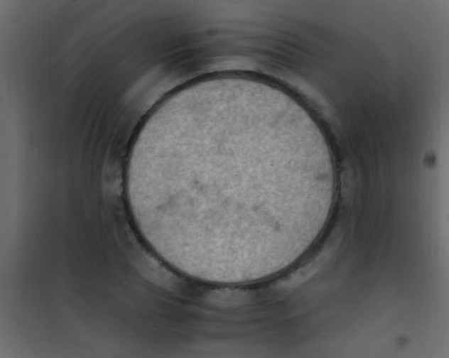 X0000101110929200807171933