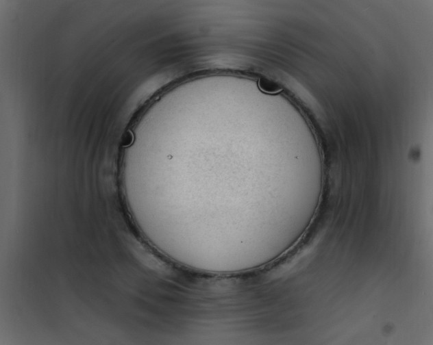 X0000101110930200807171933
