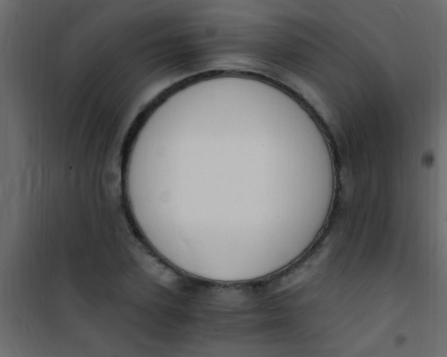 X0000101110931200807171933