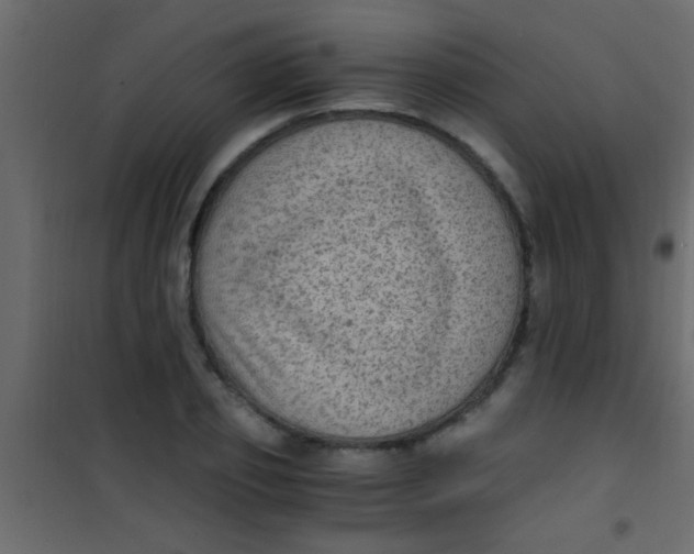 X0000101110933200807171933