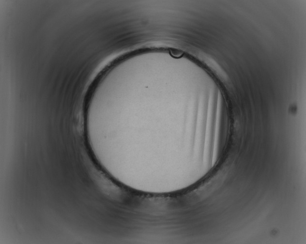 X0000101110934200807171933