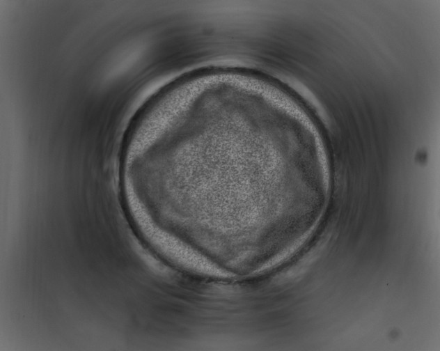 X0000101110935200807171933