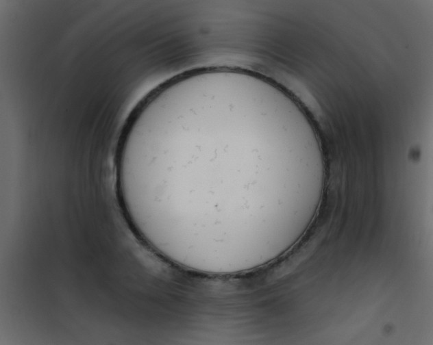 X0000101110936200807171933