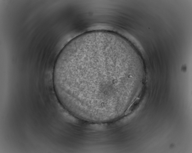 X0000101110937200807171933