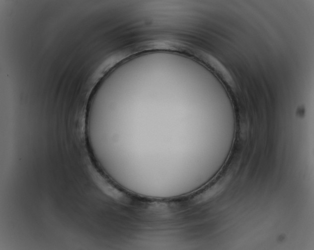 X0000101110938200807171933