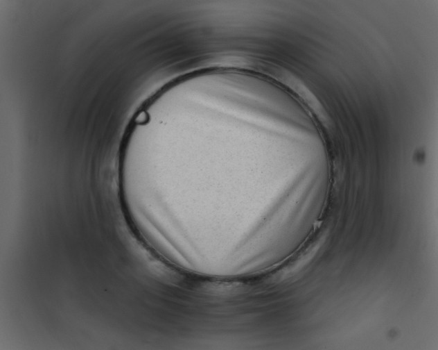 X0000101110939200807171933