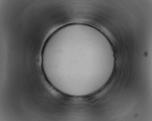 X0000101110940200807171933