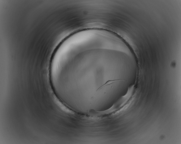 X0000101110941200807171933