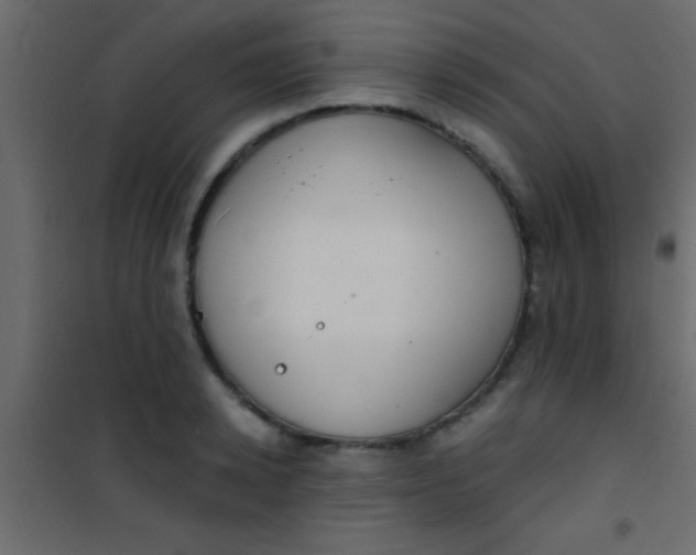 X0000101110942200807171933
