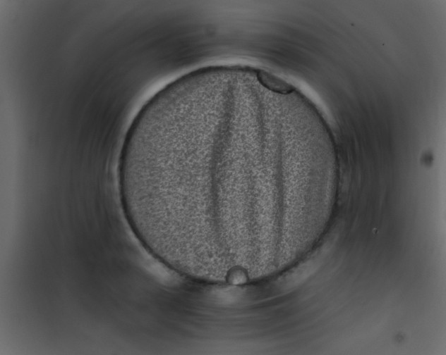 X0000101110943200807171933