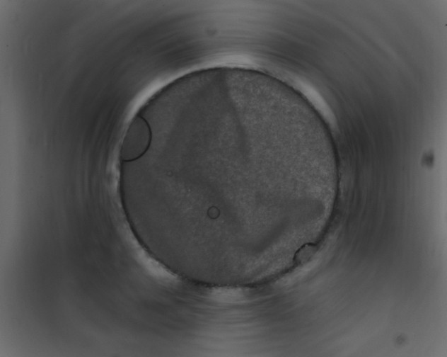 X0000101110944200807171933