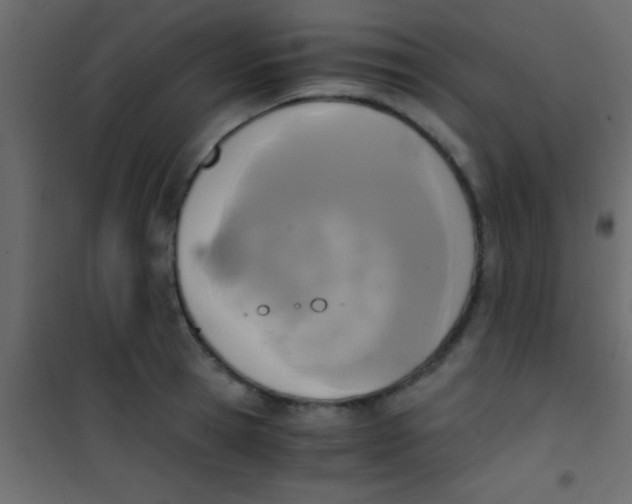 X0000101110945200807171933