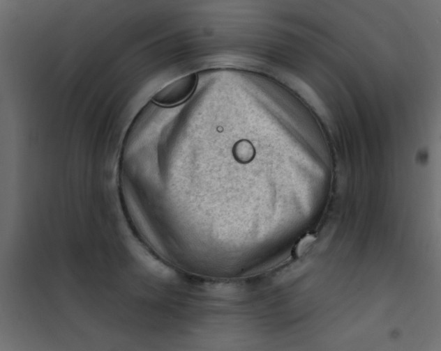 X0000101110946200807171933