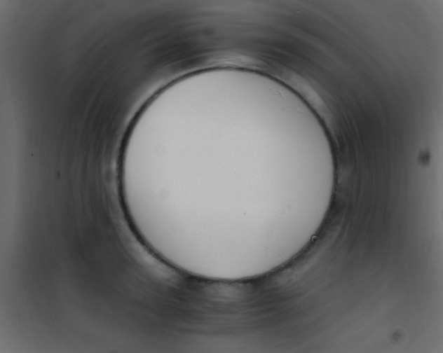 X0000101110947200807171933