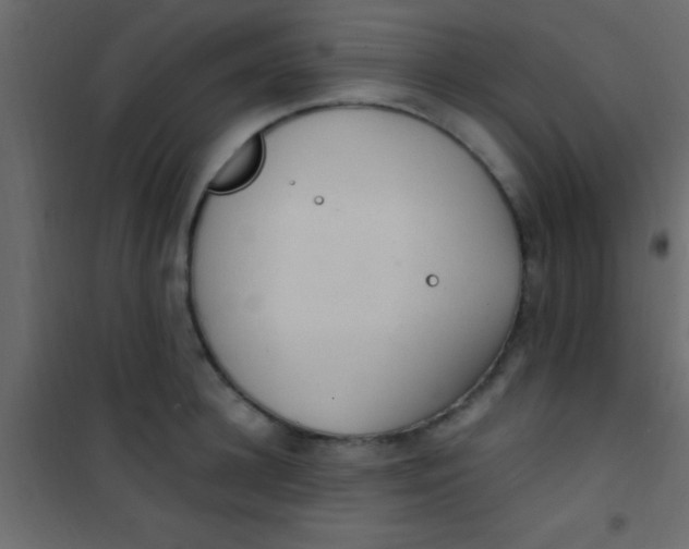 X0000101110948200807171933