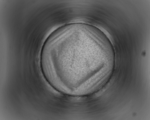 X0000101110949200807171933