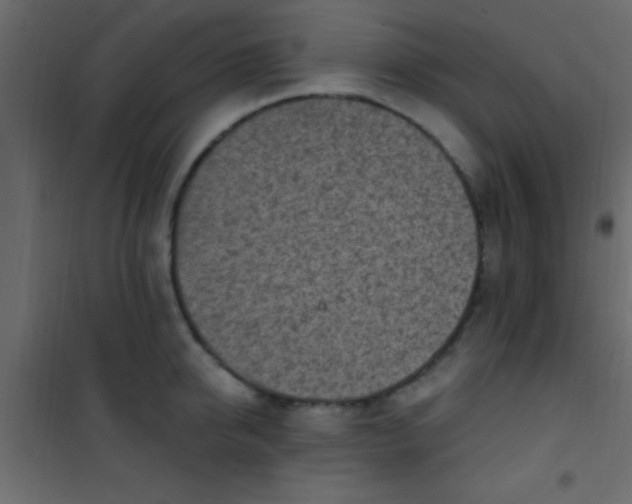 X0000101110950200807171933