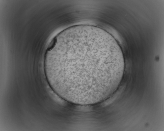 X0000101110952200807171933