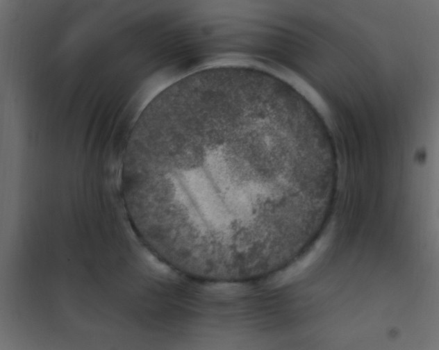 X0000101110953200807171933