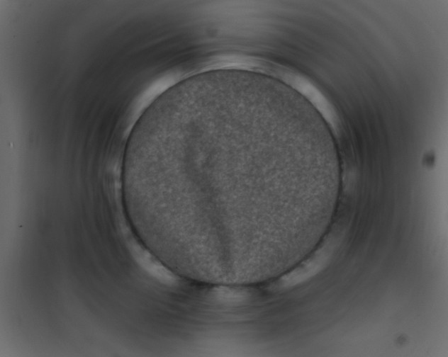 X0000101110954200807171933
