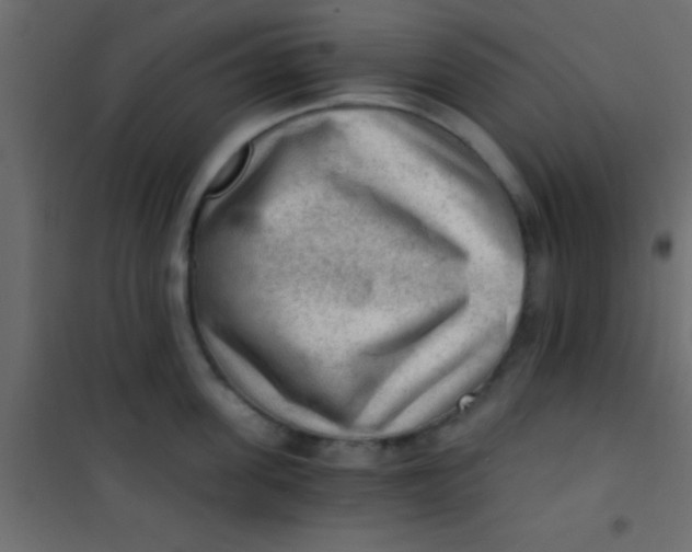 X0000101110955200807171933