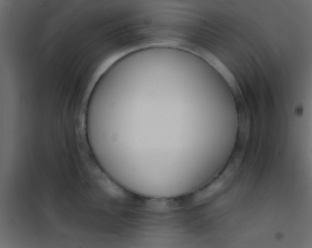 X0000101110956200807171933
