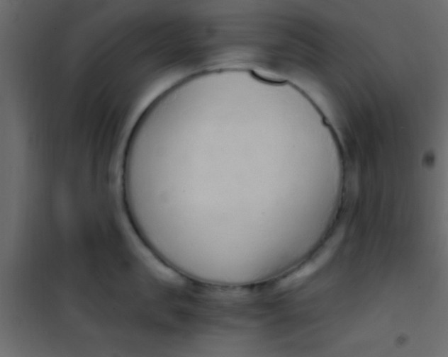 X0000101110957200807171933