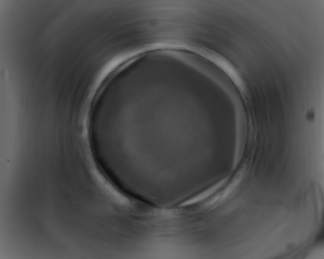 X0000101110958200807171933