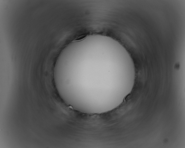 X0000101110961200807171933