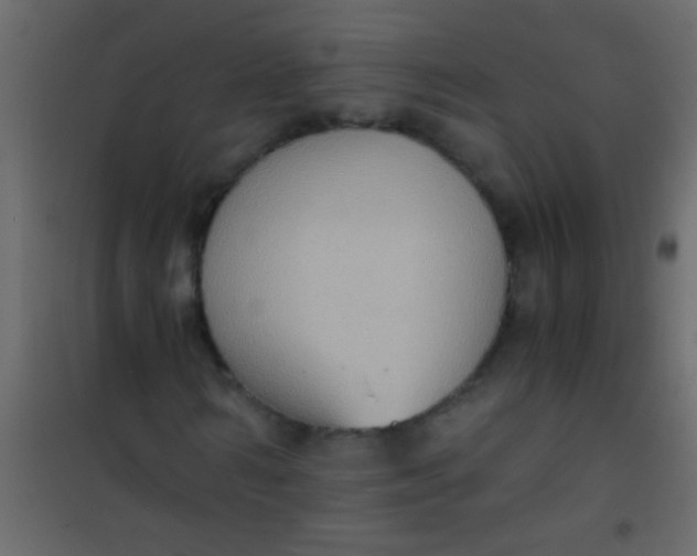 X0000101110962200807171932