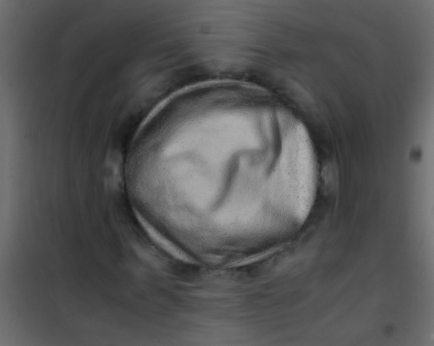 X0000101110963200807171932