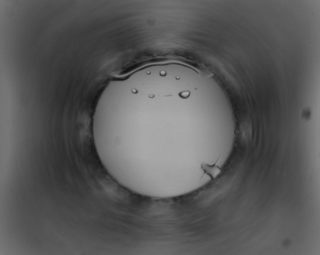 X0000101110964200807171932