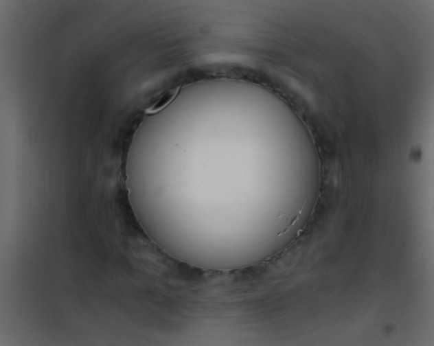 X0000101110965200807171932
