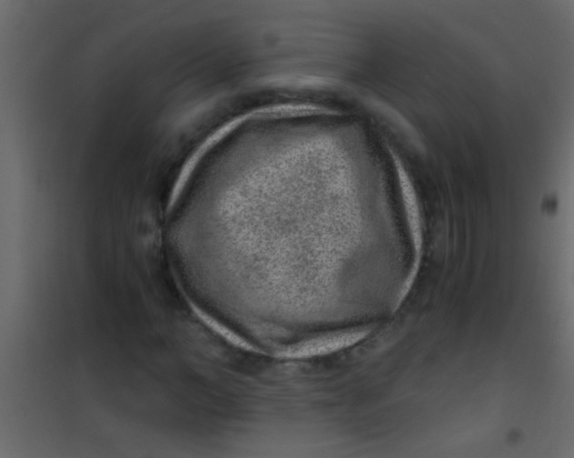 X0000101110966200807171932