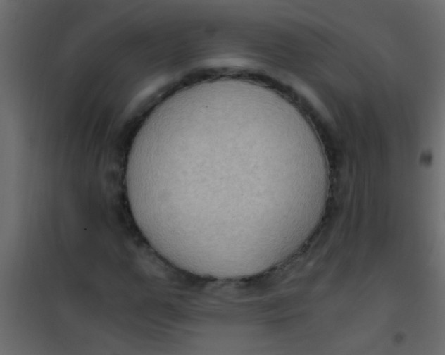 X0000101110967200807171932