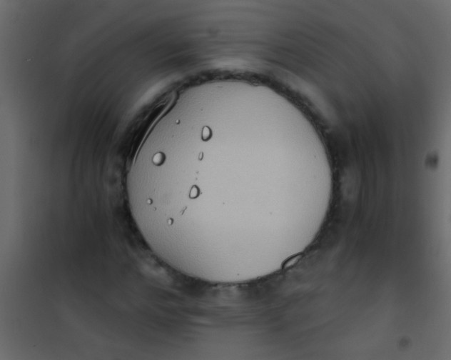 X0000101110968200807171932