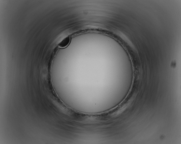X0000101110969200807171932