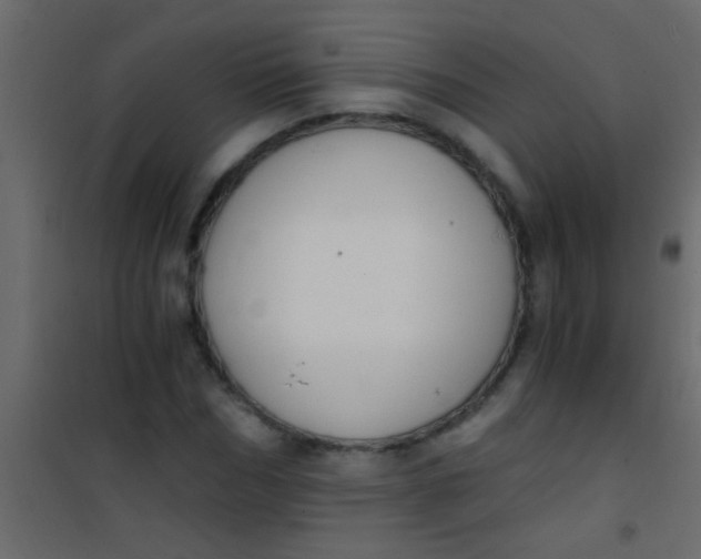 X0000101110970200807171932