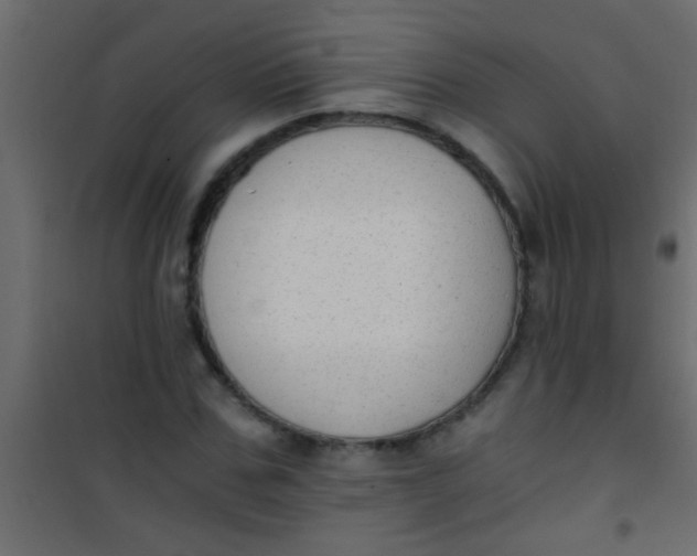 X0000101110971200807171932